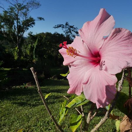 La Joupa Case Anthurium Sainte-Rose Buitenkant foto