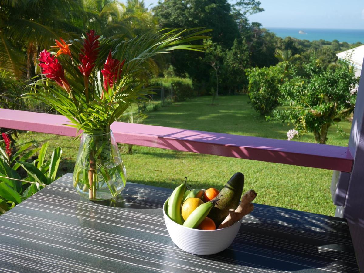La Joupa Case Anthurium Sainte-Rose Buitenkant foto