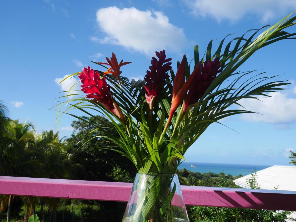 La Joupa Case Anthurium Sainte-Rose Buitenkant foto